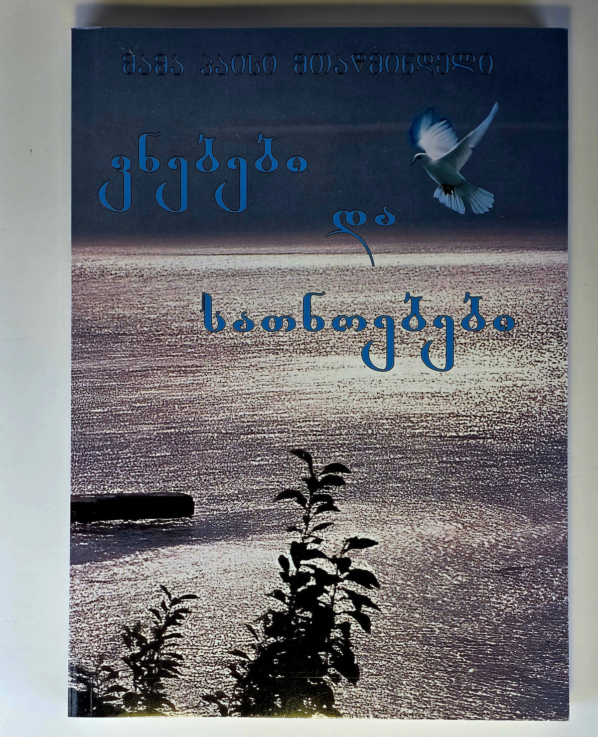 მამა პაისი მთაწმინდელი - ვნებები და სათნოებები. ტომი - V . Saint Paisios Athonite. Passions & Virtues - Book V - (Georgian)